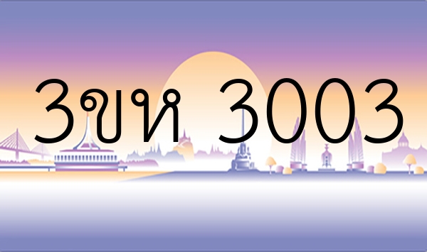 3ขห 3003